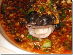 Sezhuan Catfish