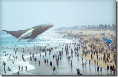 magic-leap-whale