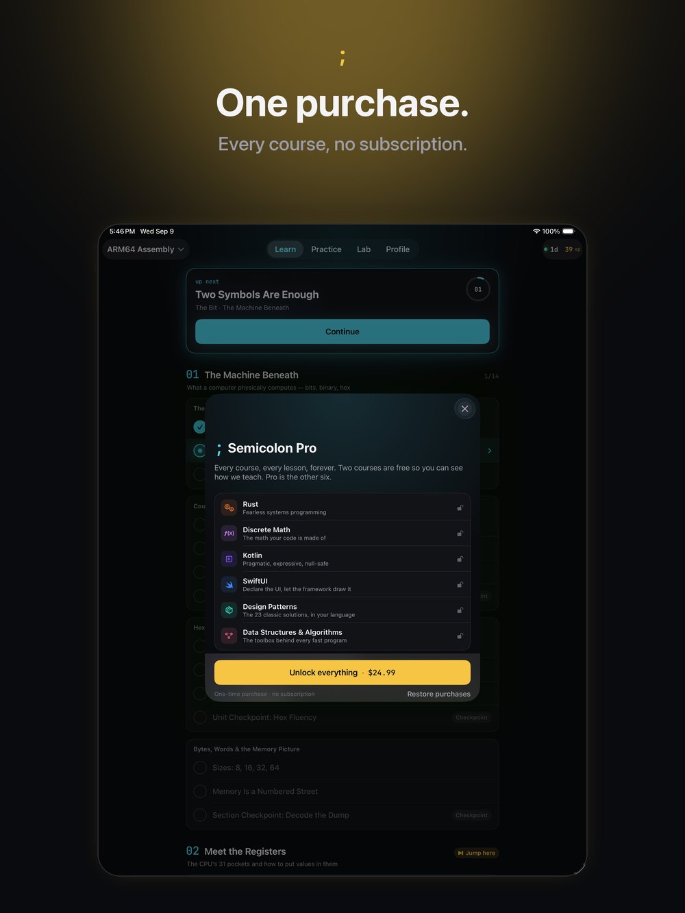 Semicolon Pro: one purchase, no subscription