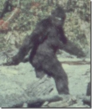 bigfoot